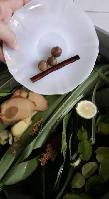 11 Daun Air Mandian Herba