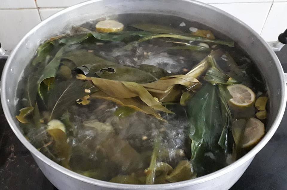 11 Daun Air Mandian Herba