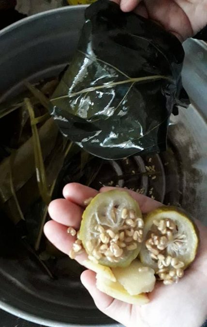 11 Daun Air Mandian Herba
