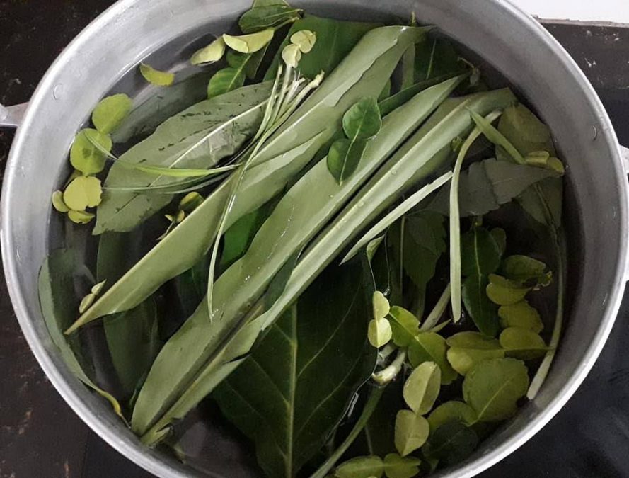 11 Daun Air Mandian Herba