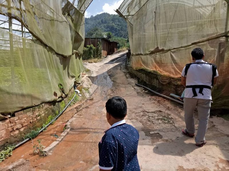 Datang Sini Kalau Nak Petik Anggur Manis, Ladang Tersembunyi Di Cameron Highlands
