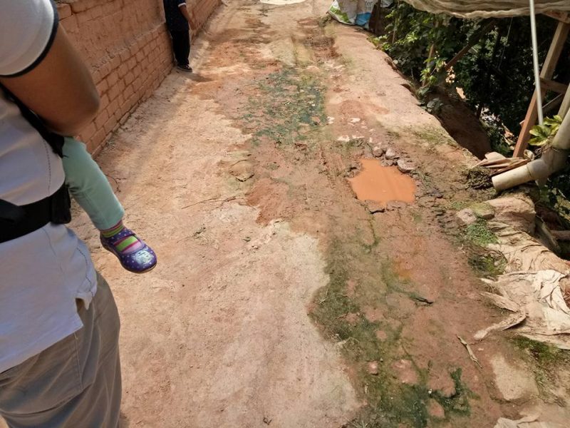 Datang Sini Kalau Nak Petik Anggur Manis, Ladang Tersembunyi Di Cameron Highlands