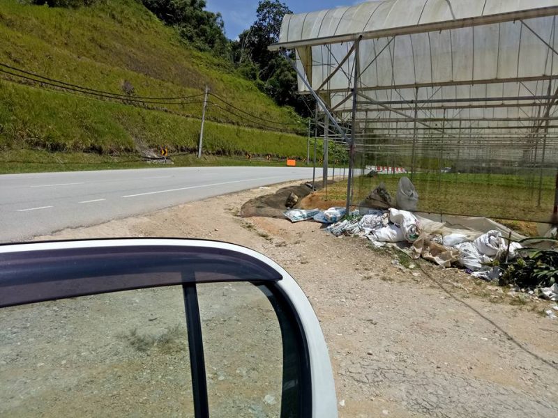 Datang Sini Kalau Nak Petik Anggur Manis, Ladang Tersembunyi Di Cameron Highlands