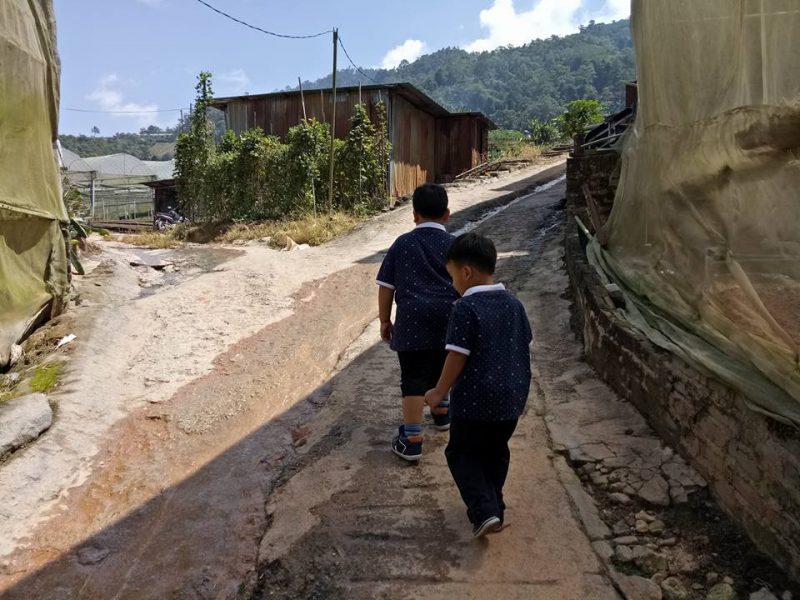 Datang Sini Kalau Nak Petik Anggur Manis, Ladang Tersembunyi Di Cameron Highlands