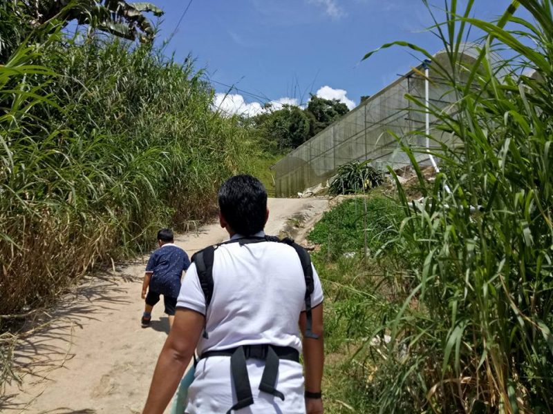 Datang Sini Kalau Nak Petik Anggur Manis, Ladang Tersembunyi Di Cameron Highlands