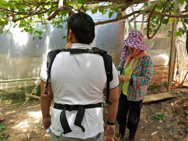 Datang Sini Kalau Nak Petik Anggur Manis, Ladang Tersembunyi Di Cameron Highlands