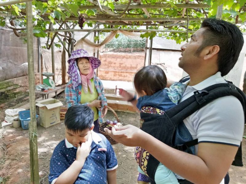 Datang Sini Kalau Nak Petik Anggur Manis, Ladang Tersembunyi Di Cameron Highlands