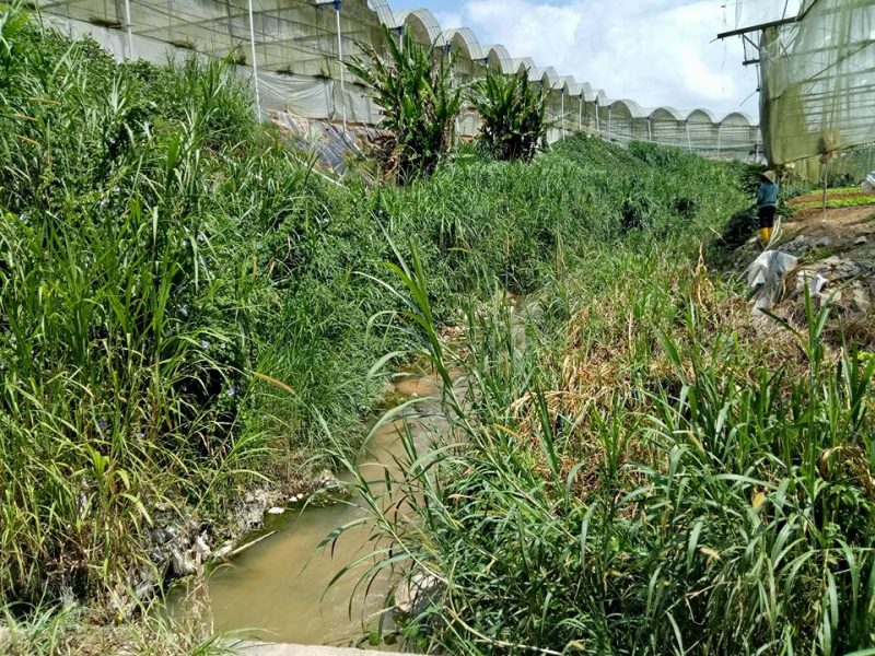 Datang Sini Kalau Nak Petik Anggur Manis, Ladang Tersembunyi Di Cameron Highlands