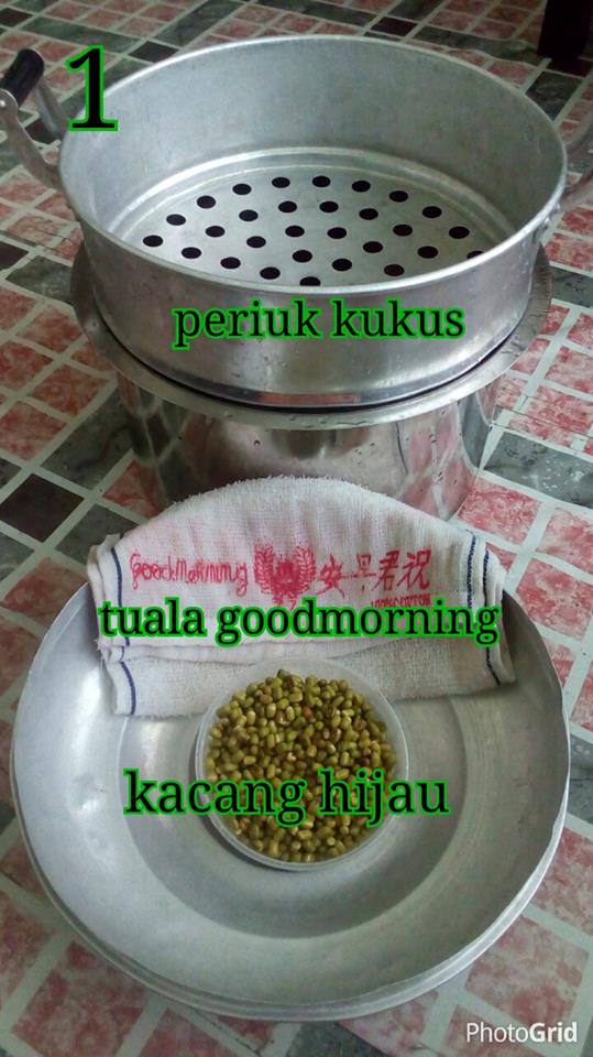 Dapatkan Inspirasi Untuk Gambar Tanaman Kacang Hijau