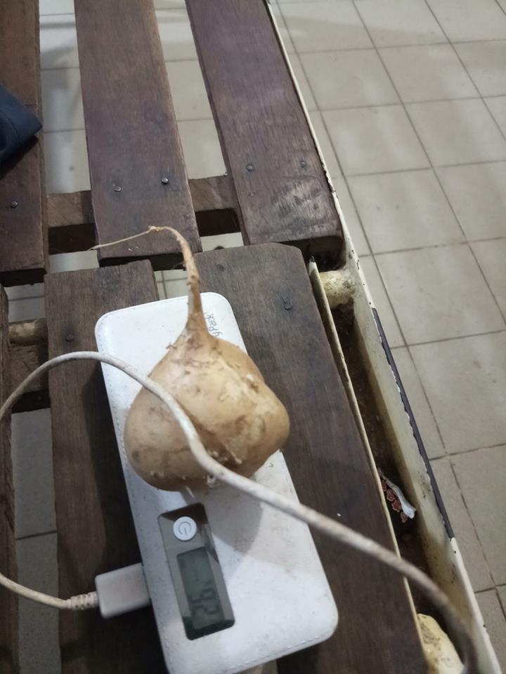 9 Hari Makan Telur Rebus, Ini Yang Rider Lalui Bila Pilih Rawatan Di Kemboja