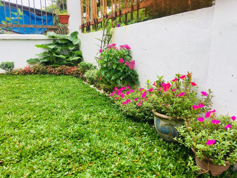 Dari Rumput Terbiar, Ibu Ini Siapkan Laman Belakang Cantik Untuk 5 Beranak
